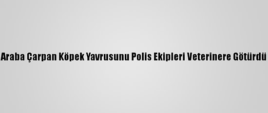 Araba Çarpan Köpek Yavrusunu Polis Ekipleri Veterinere Götürdü