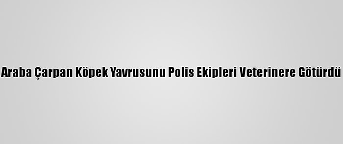 Araba Çarpan Köpek Yavrusunu Polis Ekipleri Veterinere Götürdü