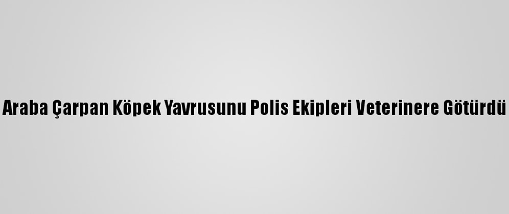 Araba Çarpan Köpek Yavrusunu Polis Ekipleri Veterinere Götürdü