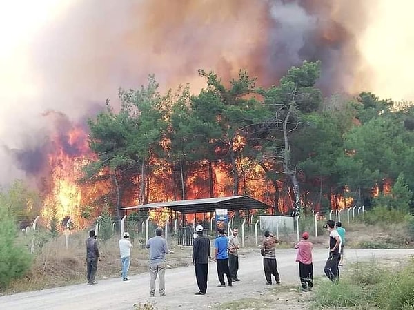 Üç farklı bölgede 200'ü aşkın kişi müdahale etti.