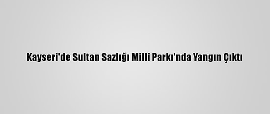 Kayseri'de Sultan Sazlığı Milli Parkı'nda Yangın Çıktı