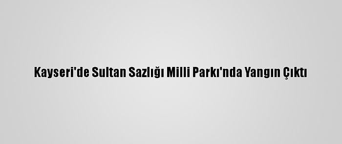 Kayseri'de Sultan Sazlığı Milli Parkı'nda Yangın Çıktı