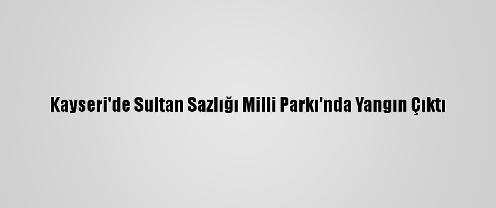 Kayseri'de Sultan Sazlığı Milli Parkı'nda Yangın Çıktı