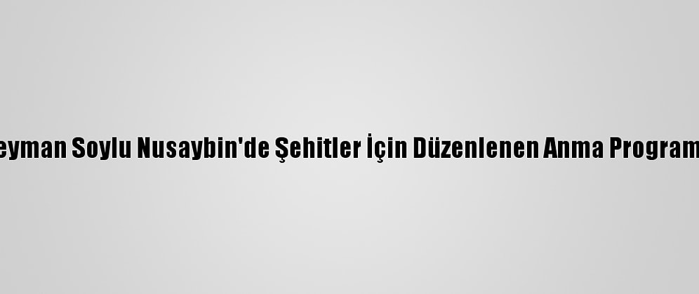 Bakan Süleyman Soylu Nusaybin'de Şehitler İçin Düzenlenen Anma Programına Katıldı