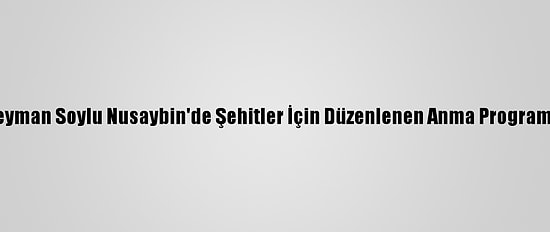 Bakan Süleyman Soylu Nusaybin'de Şehitler İçin Düzenlenen Anma Programına Katıldı