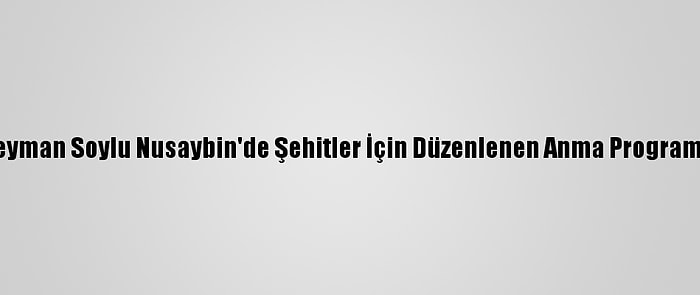 Bakan Süleyman Soylu Nusaybin'de Şehitler İçin Düzenlenen Anma Programına Katıldı