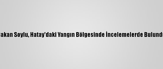 Bakan Soylu, Hatay'daki Yangın Bölgesinde İncelemelerde Bulundu