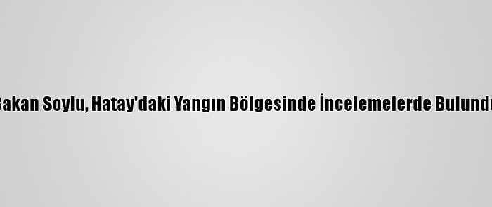 Bakan Soylu, Hatay'daki Yangın Bölgesinde İncelemelerde Bulundu