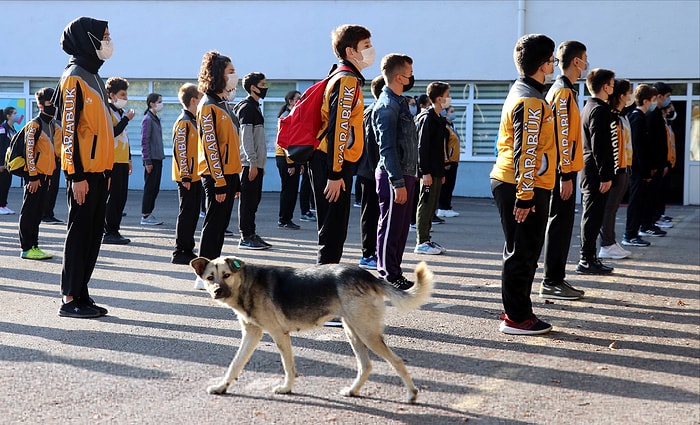 Yüz Yüze Eğitimde Yeni Dönem Başladı: Peki Kaç Gün Okula Gidilecek? Hangi Değişiklikler Yapıldı?