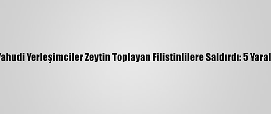Yahudi Yerleşimciler Zeytin Toplayan Filistinlilere Saldırdı: 5 Yaralı