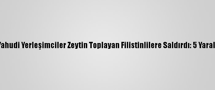 Yahudi Yerleşimciler Zeytin Toplayan Filistinlilere Saldırdı: 5 Yaralı