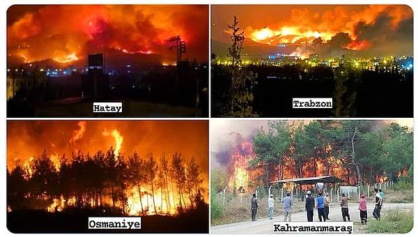 PKK'lı bir grup teröristin üstlendiği bu yangın faciası birçok ilimize sıçrarken, birçok insan evsiz kalmış; çok sayıda hayvan da hayatını kaybetmişti...