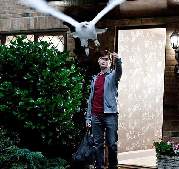9. Harry Potter ve Ölüm Yadigârları'ndaki Hedwig.