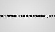 Kars'ta Öğretmenler Hatay'daki Orman Yangınına Dikkati Çekmek İçin Fidan Dikti