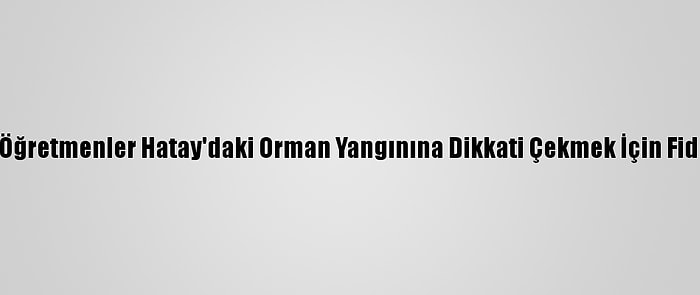 Kars'ta Öğretmenler Hatay'daki Orman Yangınına Dikkati Çekmek İçin Fidan Dikti