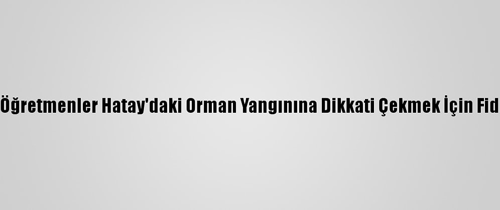 Kars'ta Öğretmenler Hatay'daki Orman Yangınına Dikkati Çekmek İçin Fidan Dikti