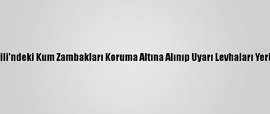 Lara Sahili'ndeki Kum Zambakları Koruma Altına Alınıp Uyarı Levhaları Yerleştirildi