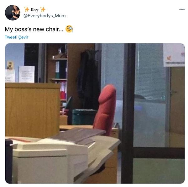 17. "Patronumun yeni sandalyesi..."