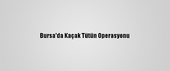 Bursa'da Kaçak Tütün Operasyonu