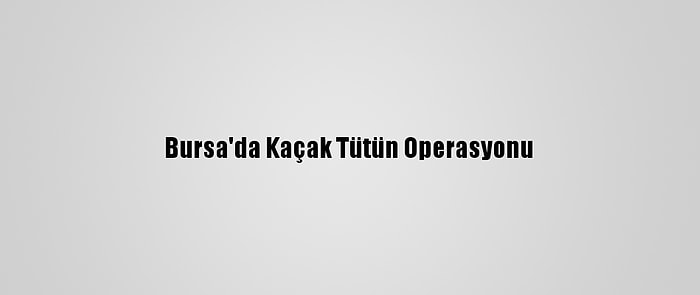 Bursa'da Kaçak Tütün Operasyonu