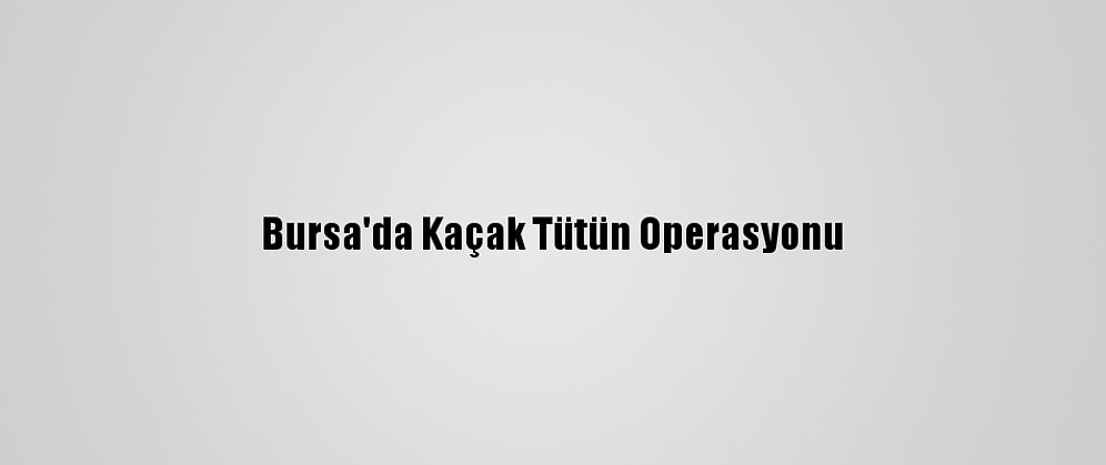Bursa'da Kaçak Tütün Operasyonu
