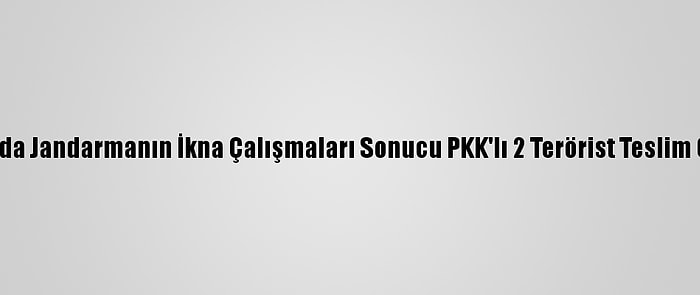 Van'da Jandarmanın İkna Çalışmaları Sonucu PKK'lı 2 Terörist Teslim Oldu