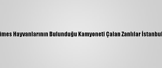 Sakarya'da Kümes Hayvanlarının Bulunduğu Kamyoneti Çalan Zanlılar İstanbul'da Yakalandı