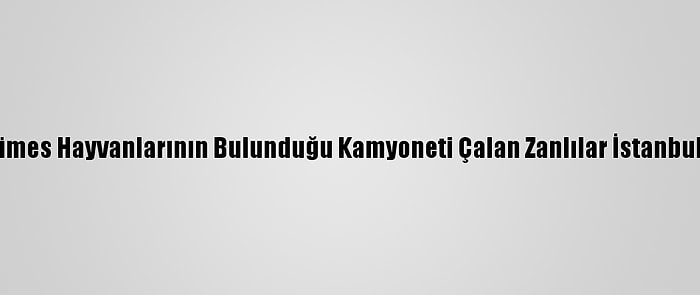 Sakarya'da Kümes Hayvanlarının Bulunduğu Kamyoneti Çalan Zanlılar İstanbul'da Yakalandı