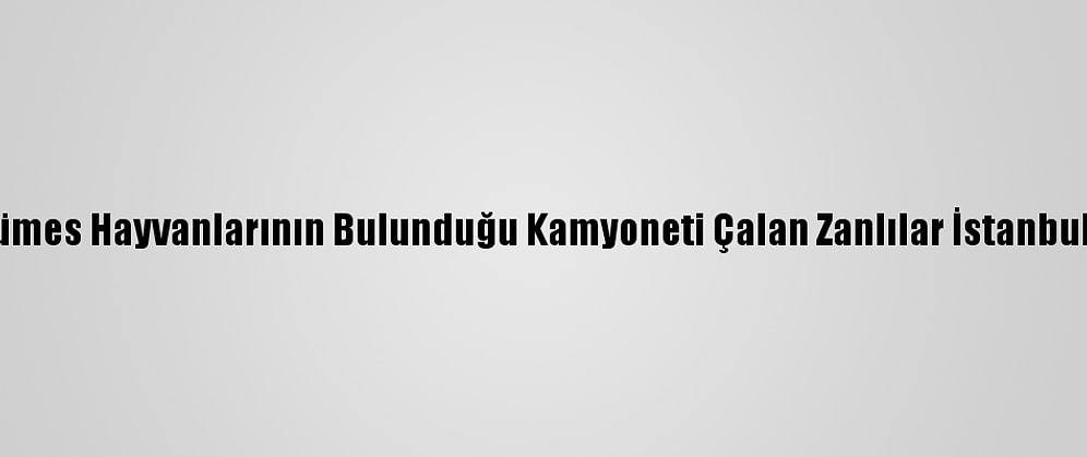 Sakarya'da Kümes Hayvanlarının Bulunduğu Kamyoneti Çalan Zanlılar İstanbul'da Yakalandı