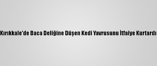 Kırıkkale'de Baca Deliğine Düşen Kedi Yavrusunu İtfaiye Kurtardı
