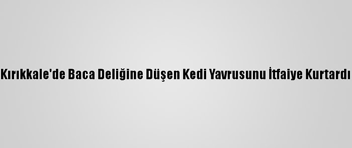 Kırıkkale'de Baca Deliğine Düşen Kedi Yavrusunu İtfaiye Kurtardı