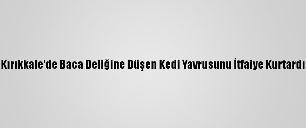 Kırıkkale'de Baca Deliğine Düşen Kedi Yavrusunu İtfaiye Kurtardı