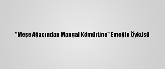 "Meşe Ağacından Mangal Kömürüne" Emeğin Öyküsü
