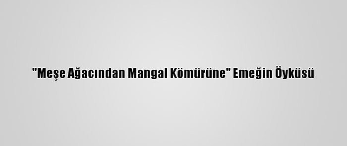 "Meşe Ağacından Mangal Kömürüne" Emeğin Öyküsü