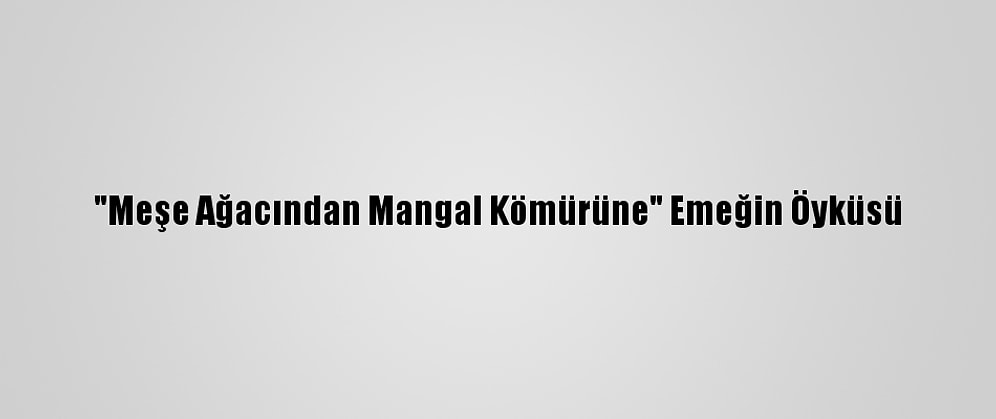 "Meşe Ağacından Mangal Kömürüne" Emeğin Öyküsü