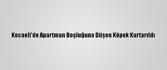 Kocaeli'de Apartman Boşluğuna Düşen Köpek Kurtarıldı