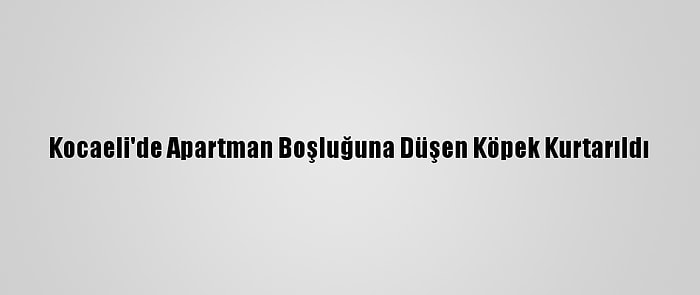 Kocaeli'de Apartman Boşluğuna Düşen Köpek Kurtarıldı