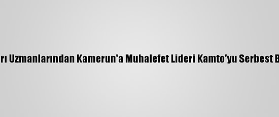 Bm İnsan Hakları Uzmanlarından Kamerun'a Muhalefet Lideri Kamto'yu Serbest Bırakma Çağrısı