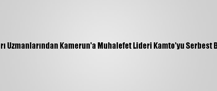 Bm İnsan Hakları Uzmanlarından Kamerun'a Muhalefet Lideri Kamto'yu Serbest Bırakma Çağrısı