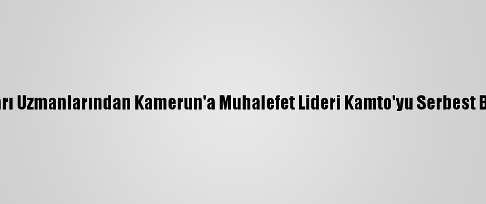 Bm İnsan Hakları Uzmanlarından Kamerun'a Muhalefet Lideri Kamto'yu Serbest Bırakma Çağrısı