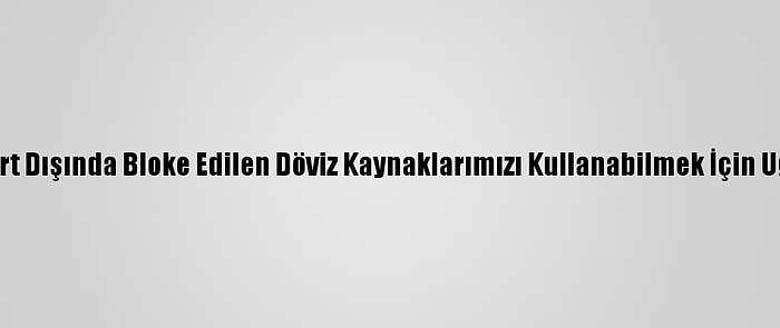 Ruhani: "Yurt Dışında Bloke Edilen Döviz Kaynaklarımızı Kullanabilmek İçin Uğraşıyoruz"