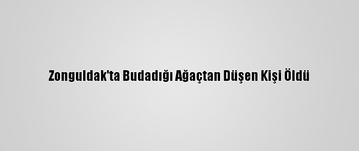 Zonguldak'ta Budadığı Ağaçtan Düşen Kişi Öldü