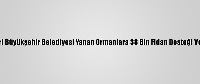 Kayseri Büyükşehir Belediyesi Yanan Ormanlara 38 Bin Fidan Desteği Verecek