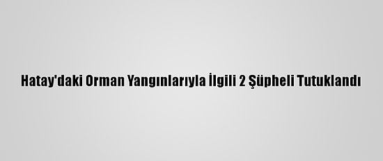Hatay'daki Orman Yangınlarıyla İlgili 2 Şüpheli Tutuklandı
