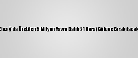 Elazığ'da Üretilen 5 Milyon Yavru Balık 21 Baraj Gölüne Bırakılacak