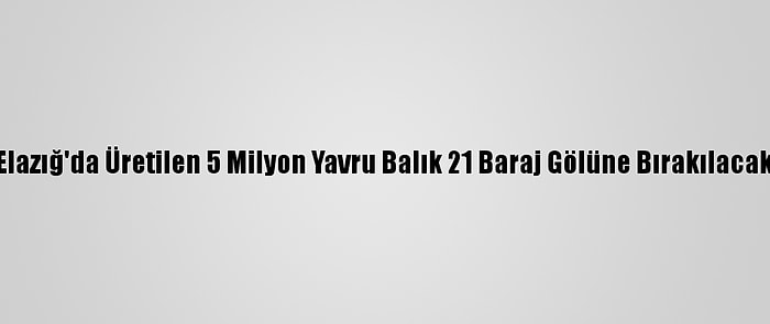 Elazığ'da Üretilen 5 Milyon Yavru Balık 21 Baraj Gölüne Bırakılacak