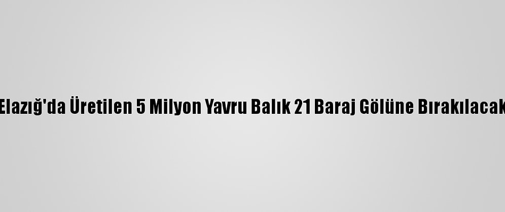 Elazığ'da Üretilen 5 Milyon Yavru Balık 21 Baraj Gölüne Bırakılacak