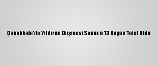 Çanakkale'de Yıldırım Düşmesi Sonucu 13 Koyun Telef Oldu
