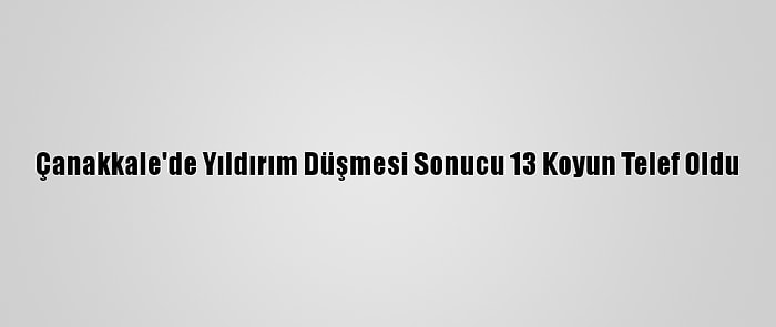 Çanakkale'de Yıldırım Düşmesi Sonucu 13 Koyun Telef Oldu