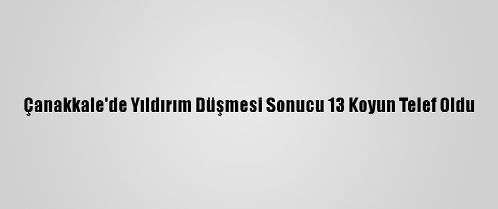 Çanakkale'de Yıldırım Düşmesi Sonucu 13 Koyun Telef Oldu